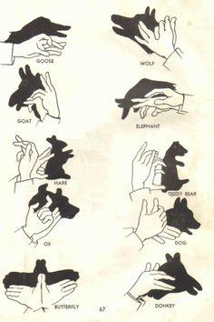 lots of hand shadow puppets 