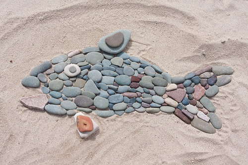 fish 