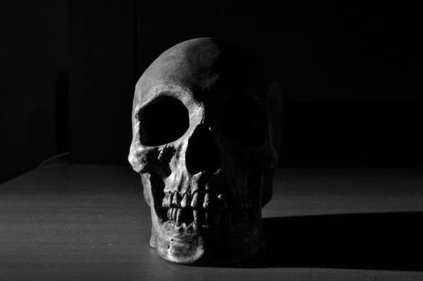 skull 