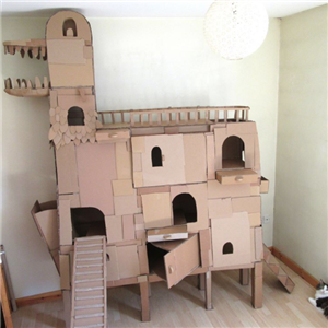 cat house caedboard 