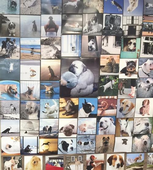 My Wall! 