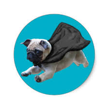 Molly to the Rescue!! 